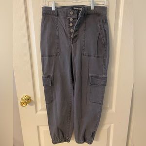 Express Dark Gray Stretch Denim